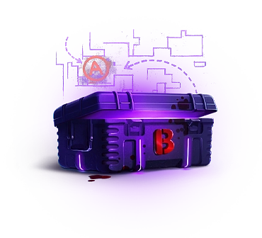 Briefing Case