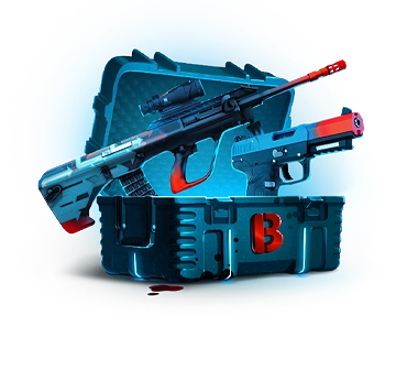 Arsenal Case